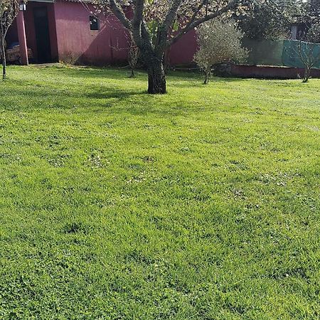 Alojamiento Entero Con Piscina Y Jardin. Ουρένσε Εξωτερικό φωτογραφία